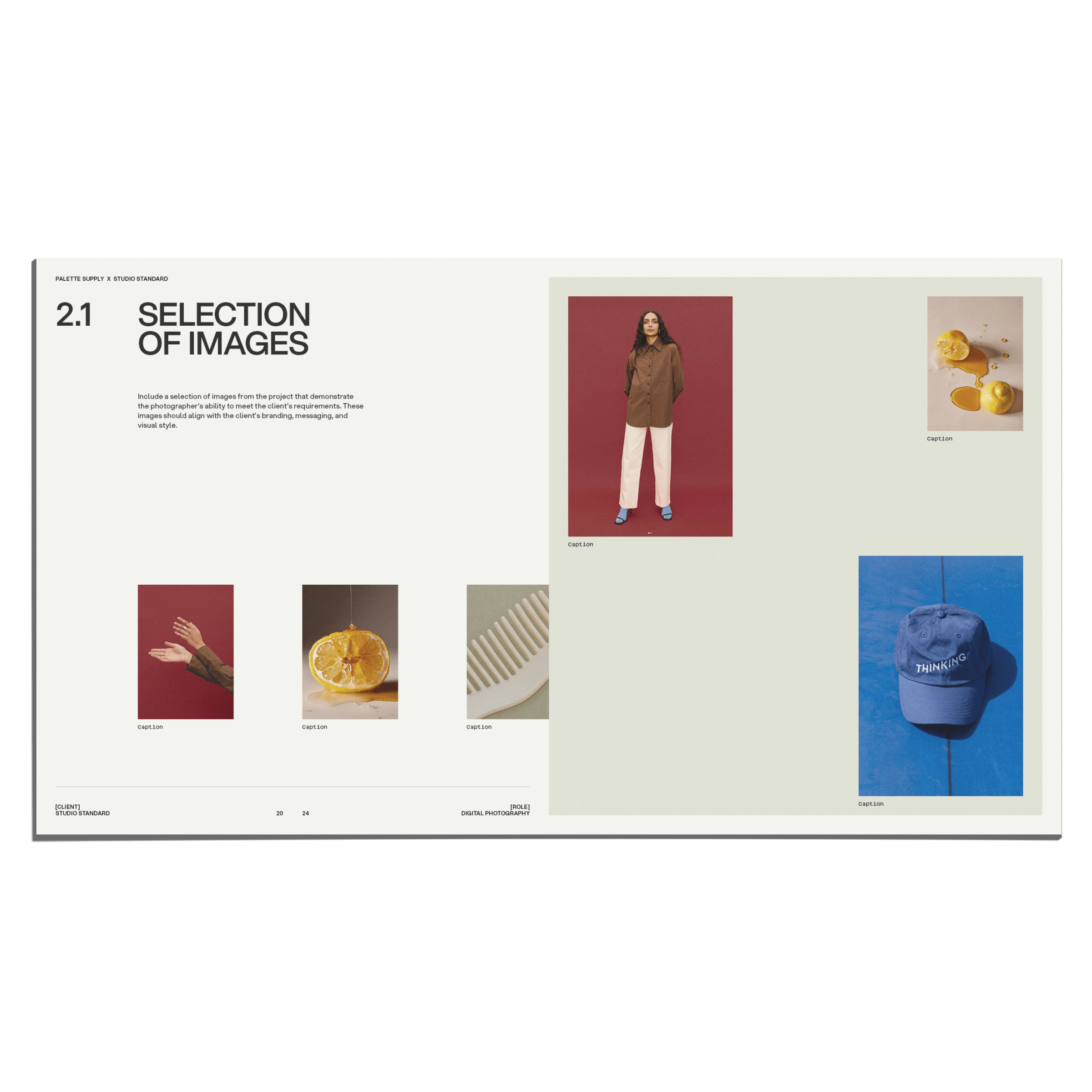 SS x Palette: Brand Specific Portfolio