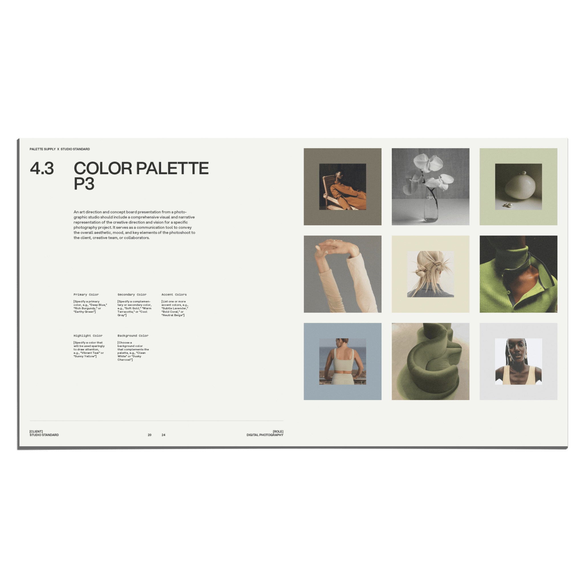 SS x Palette: Art Direction and Mood - Studio Standard