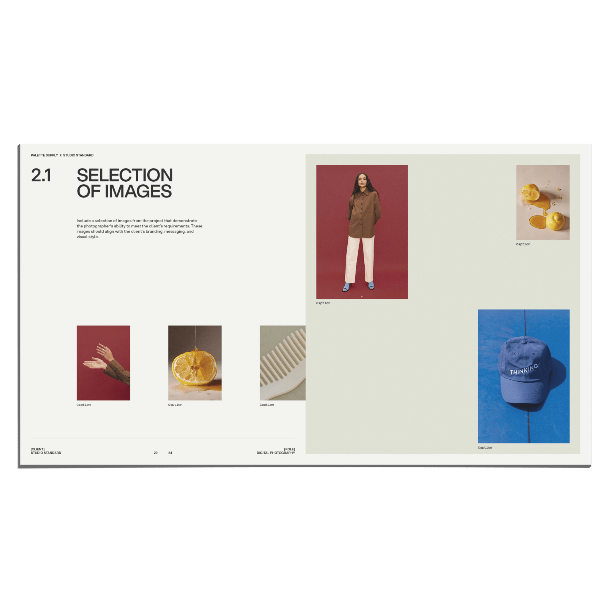 SS x Palette: Brand Specific Portfolio - Studio Standard