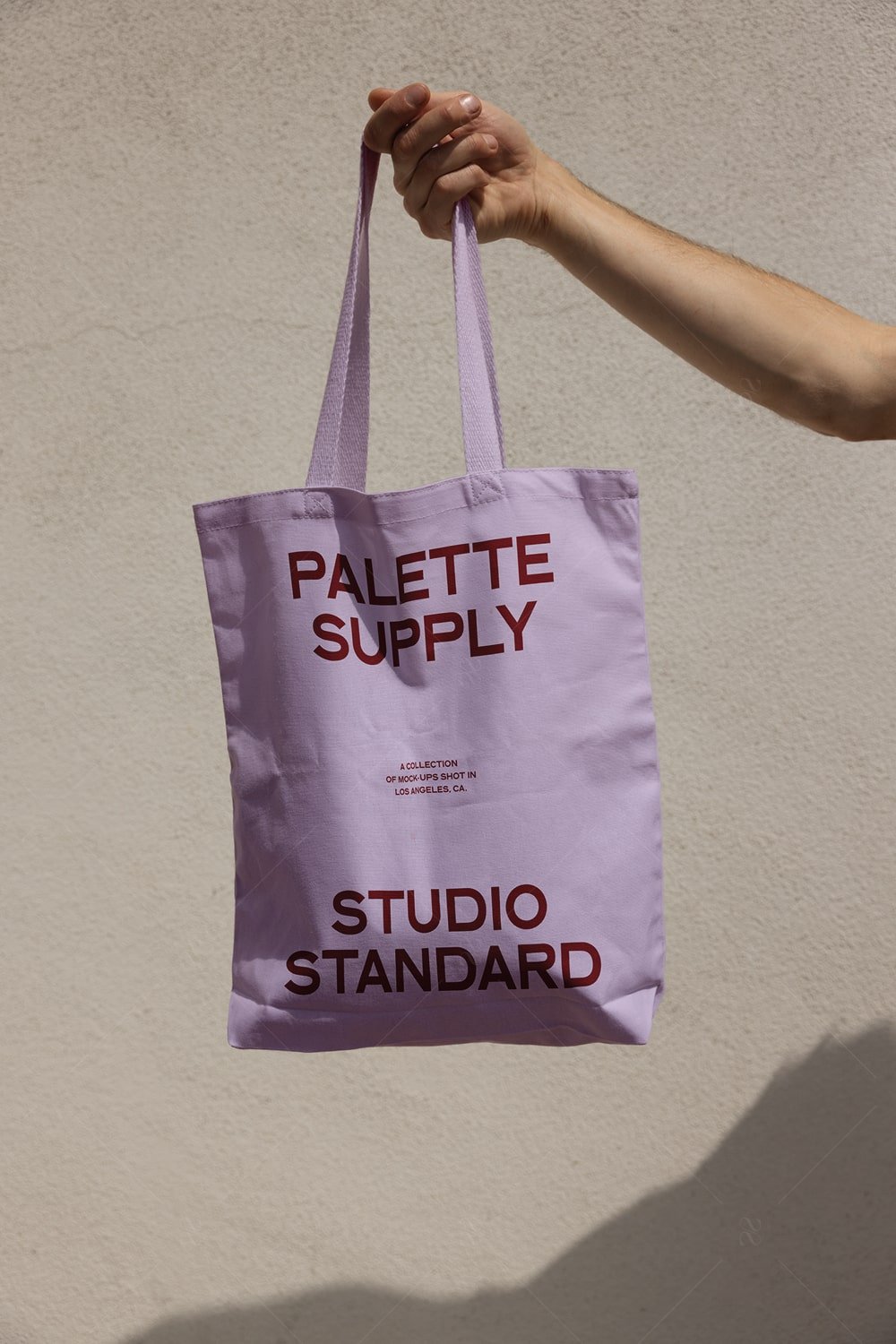 SS x Palette: LA - 008 - Studio Standard