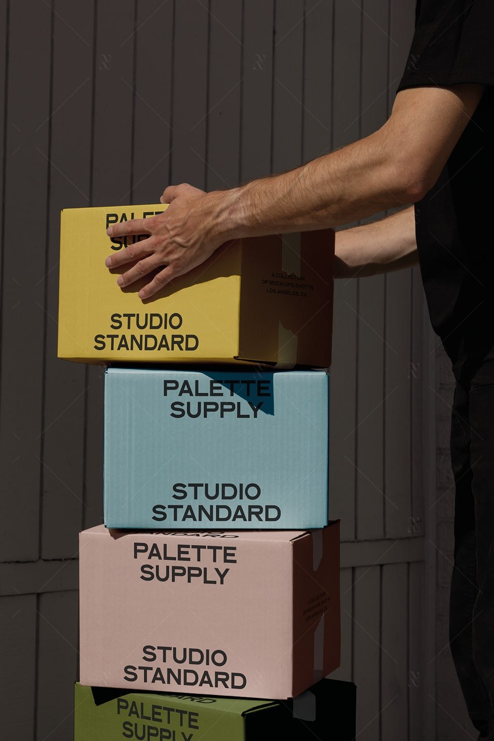 SS x Palette: LA - 010 - Studio Standard