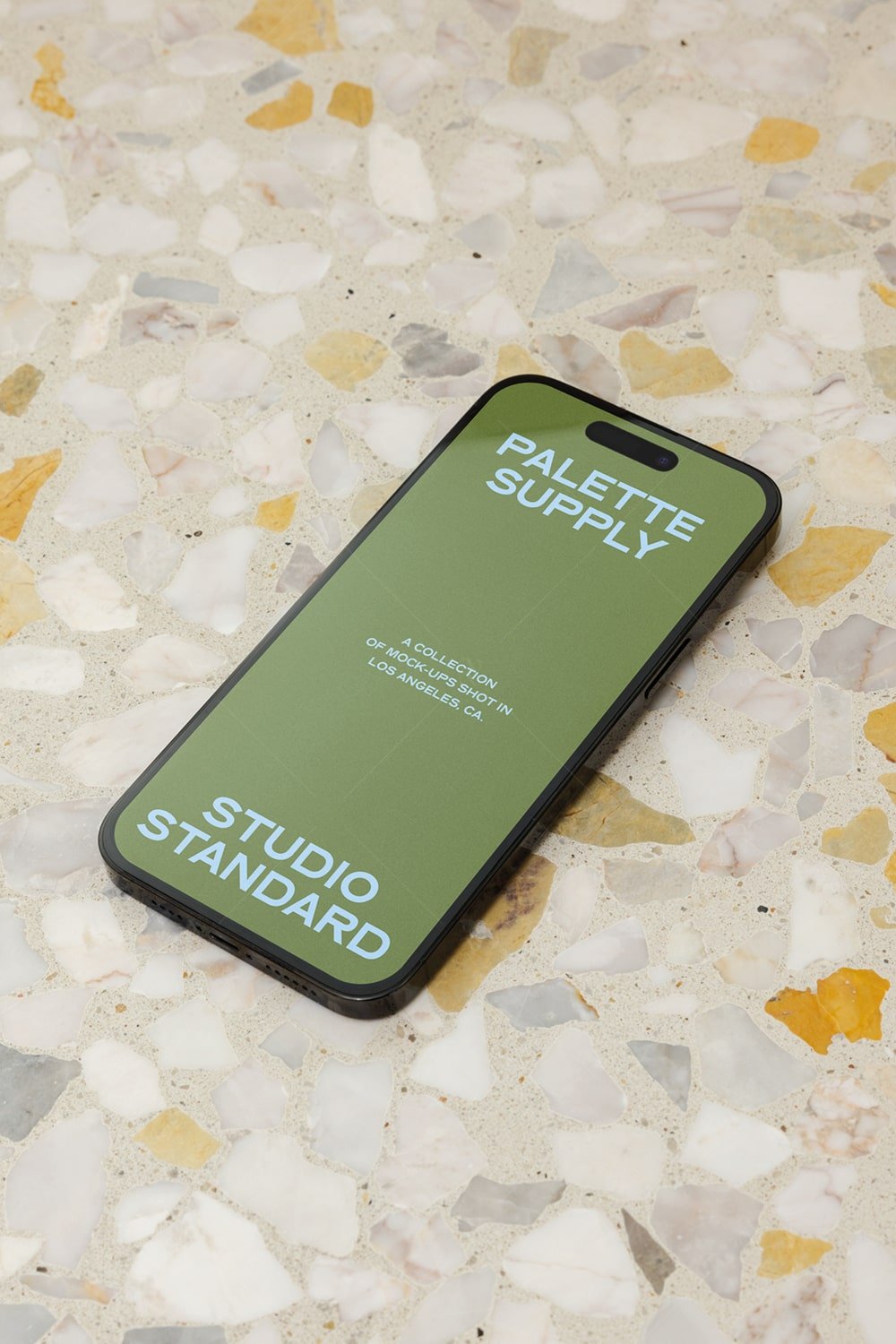 SS x Palette: LA - 013 - Studio Standard