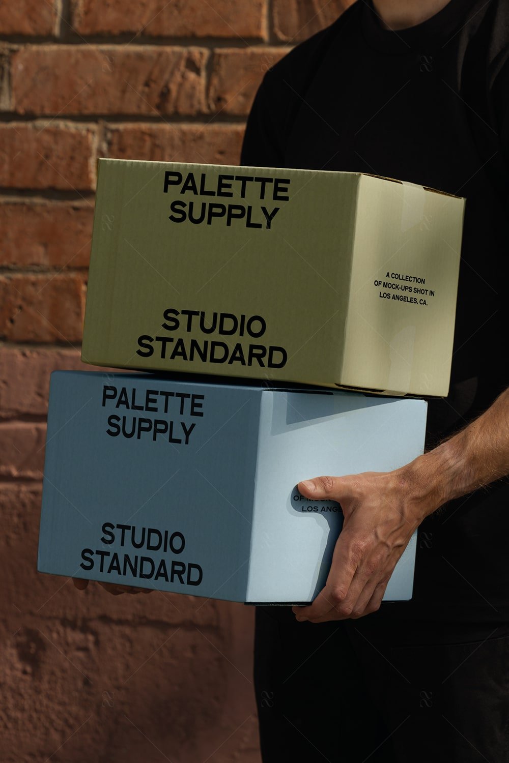 SS x Palette: LA - 016 - Studio Standard