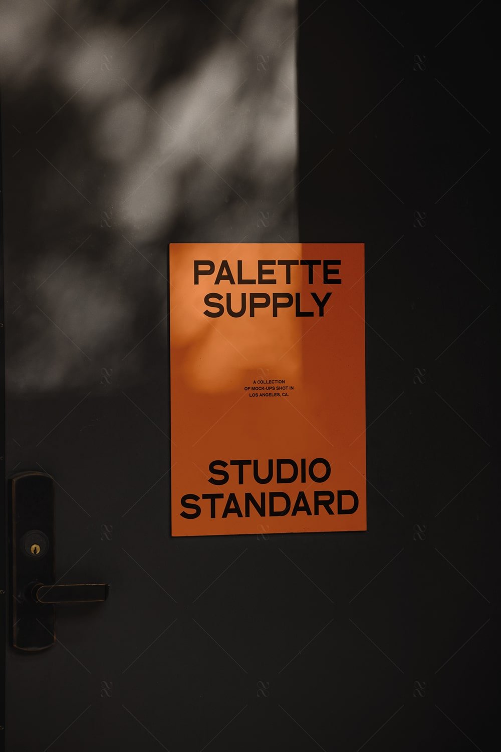 SS x Palette: LA - 024 - Studio Standard