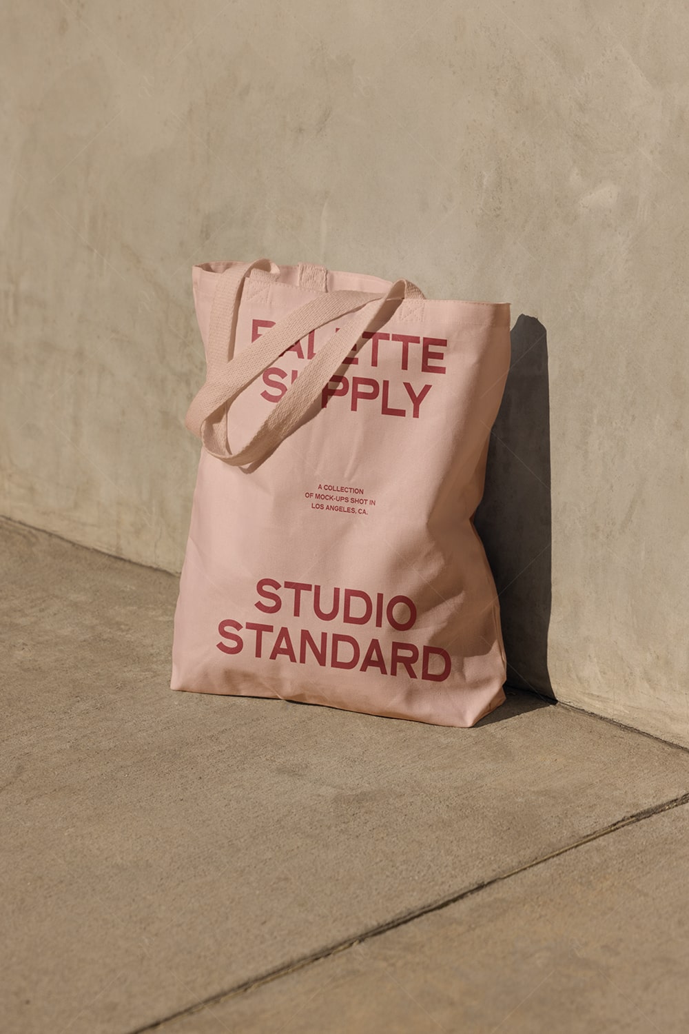 SS x Palette: LA - 025 - Studio Standard