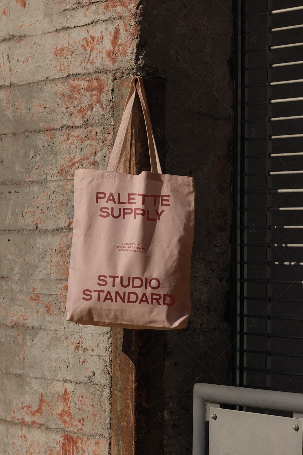 SS x Palette: LA - 027 - Studio Standard