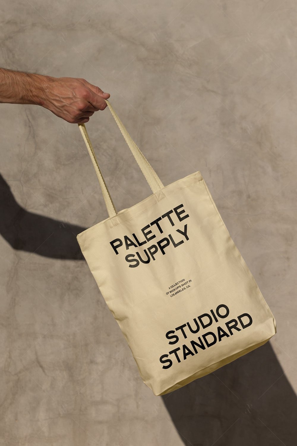 SS x Palette: LA - 030 - Studio Standard