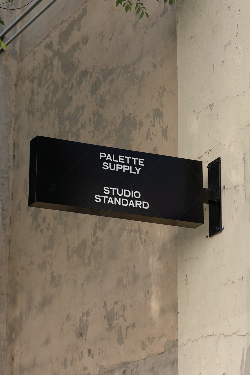 SS x Palette: LA - 034 - Studio Standard