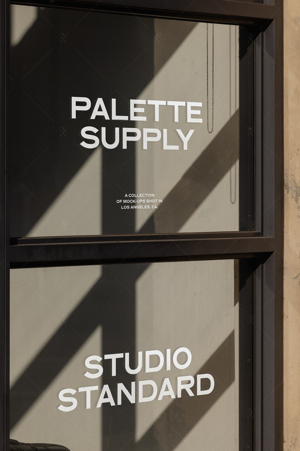 SS x Palette: LA - 037 - Studio Standard