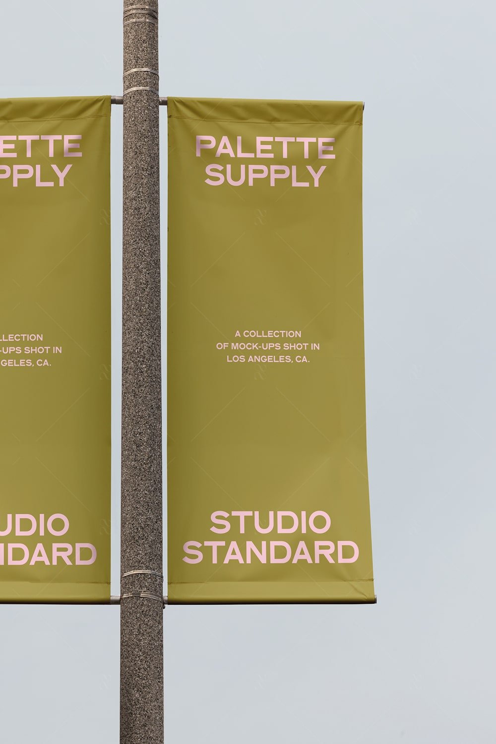 SS x Palette: LA - 043 - Studio Standard