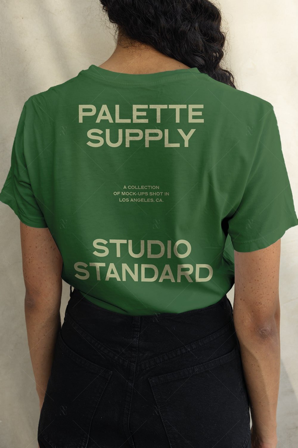 SS x Palette: LA - 046 - Studio Standard