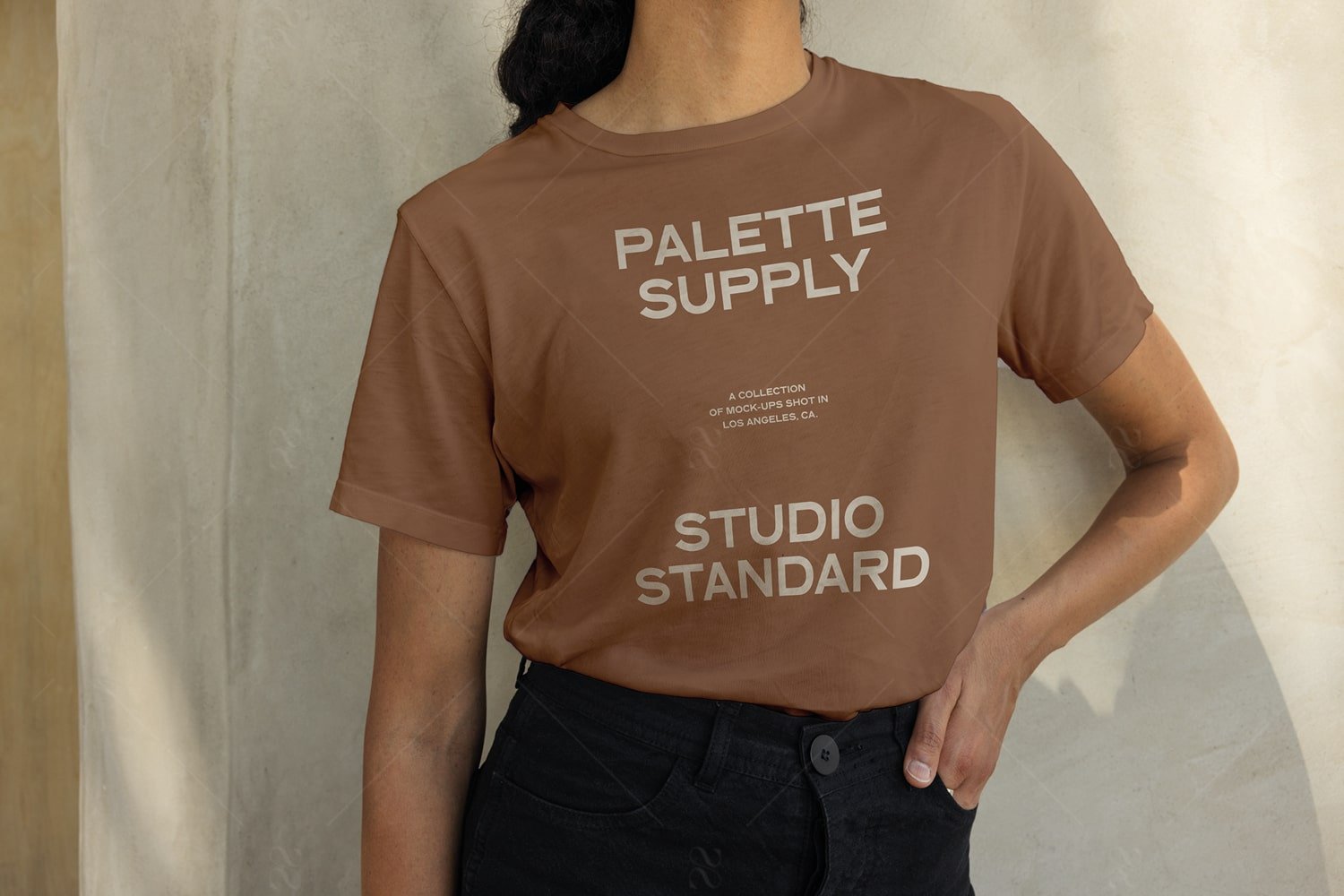 SS x Palette: LA - 047 - Studio Standard