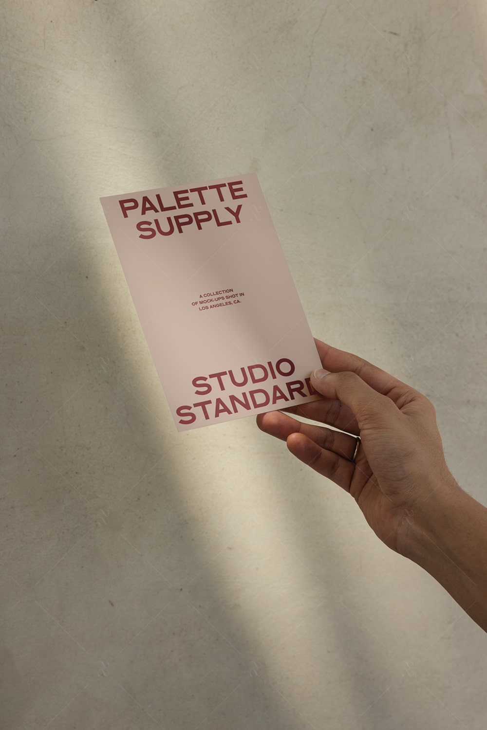 SS x Palette: LA - 049 - Studio Standard