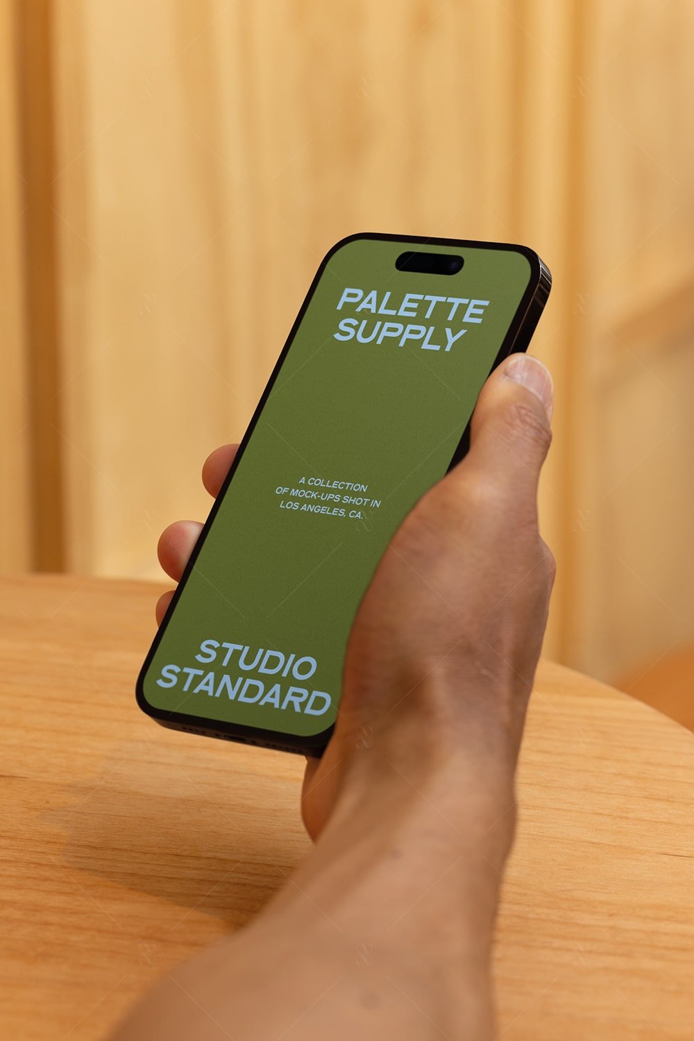 SS x Palette: LA - 058 - Studio Standard