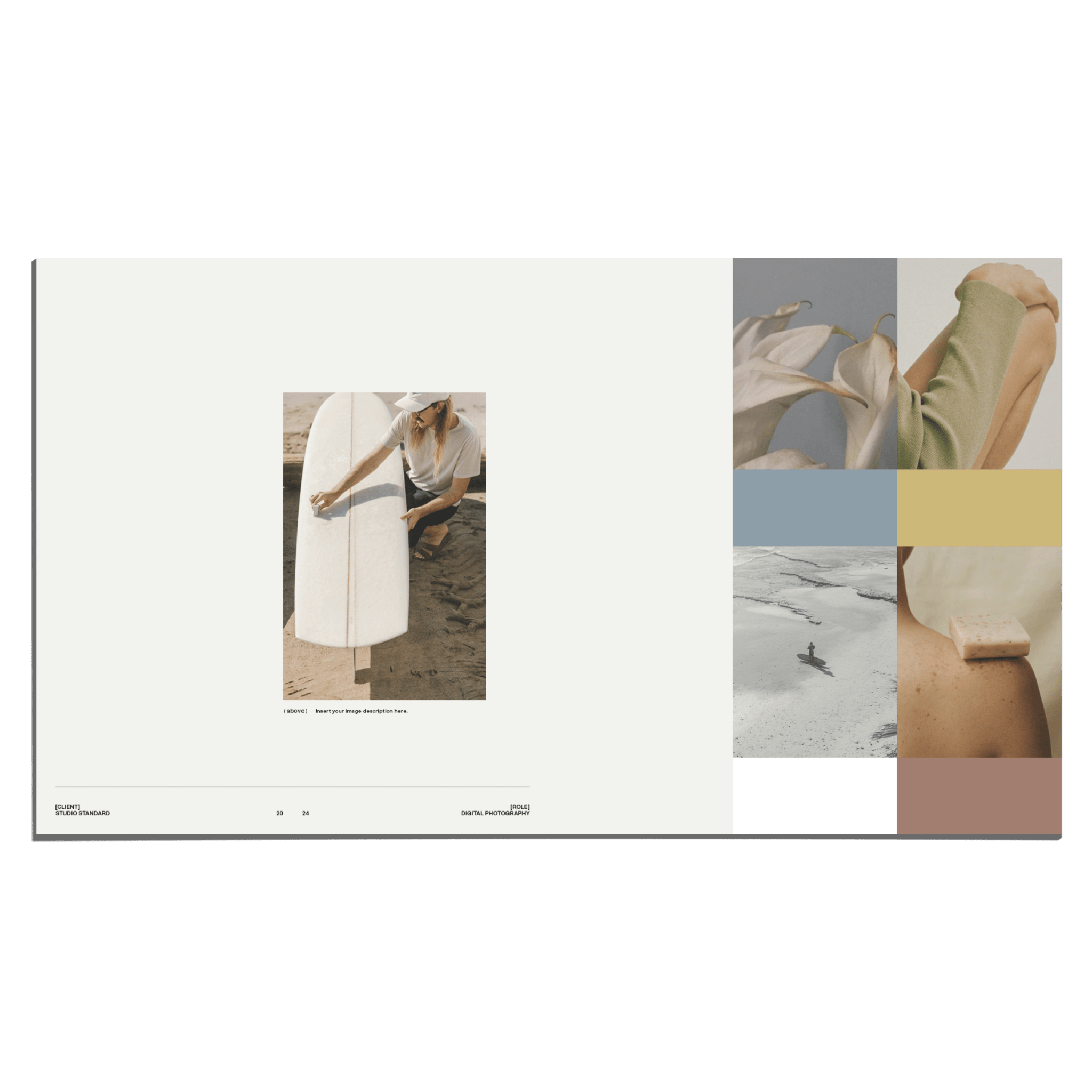 SS x Palette: Portfolio - Studio Standard