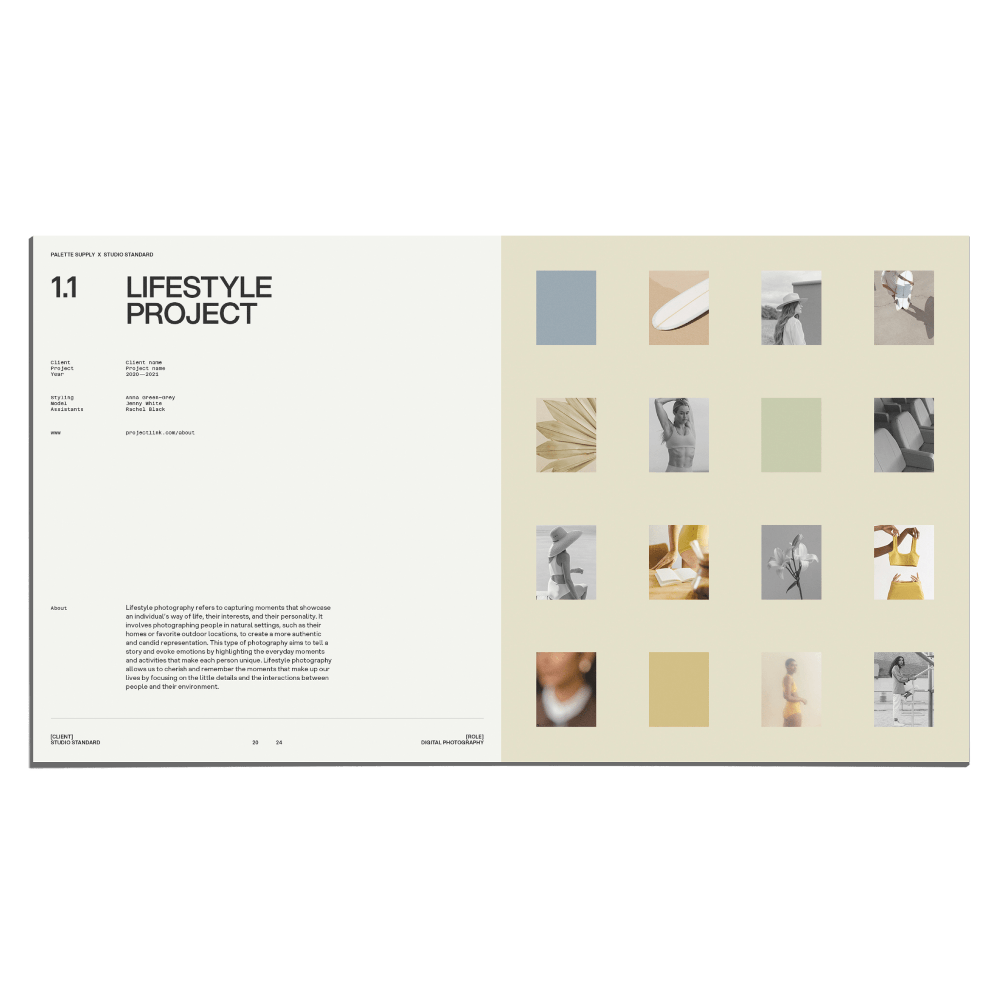 SS x Palette: Subject Specific Portfolio - Studio Standard