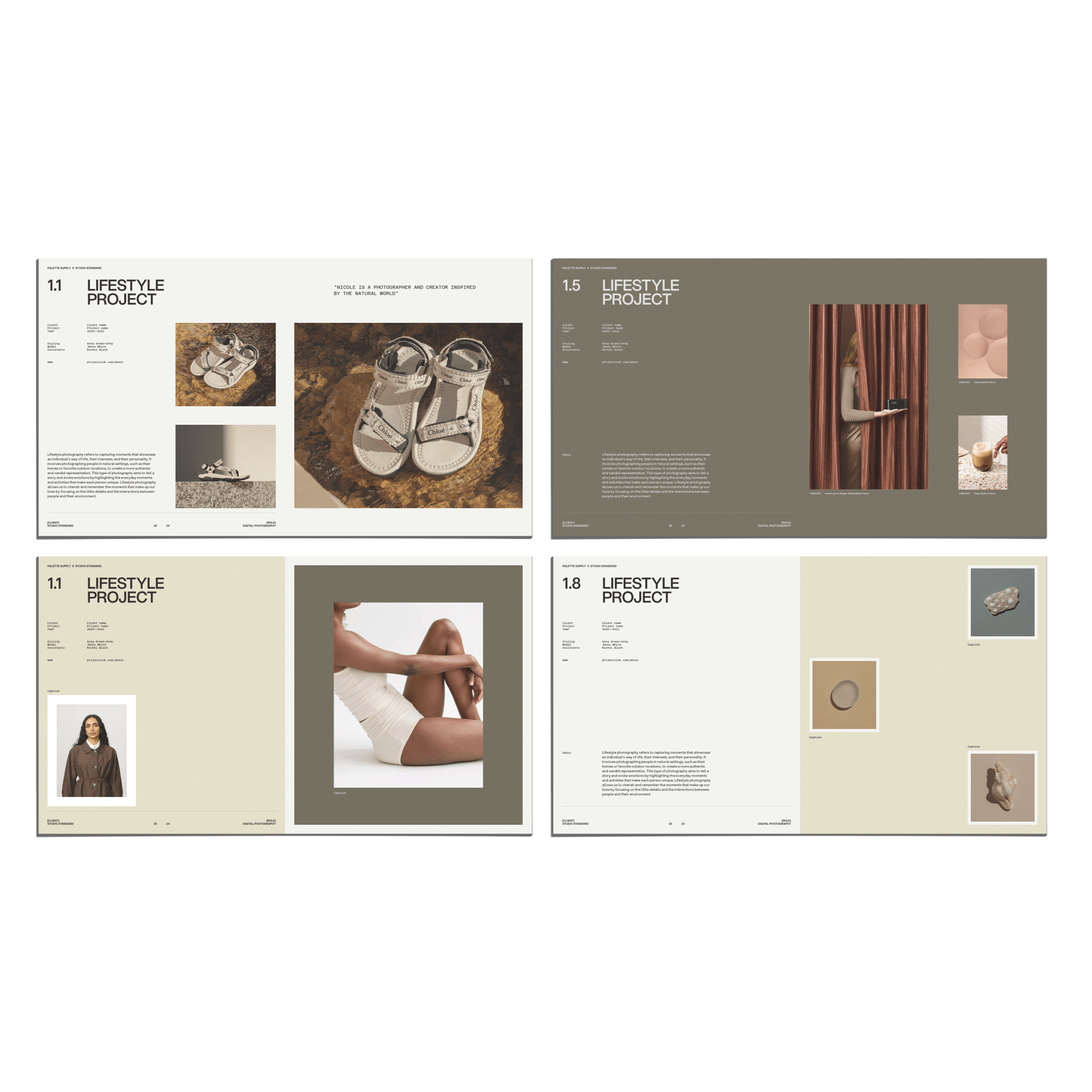 SS x Palette: Subject Specific Portfolio - Studio Standard